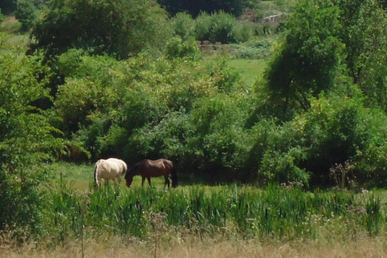 La Chouette Au Bouleau Villa Hargnies Exteriör bild