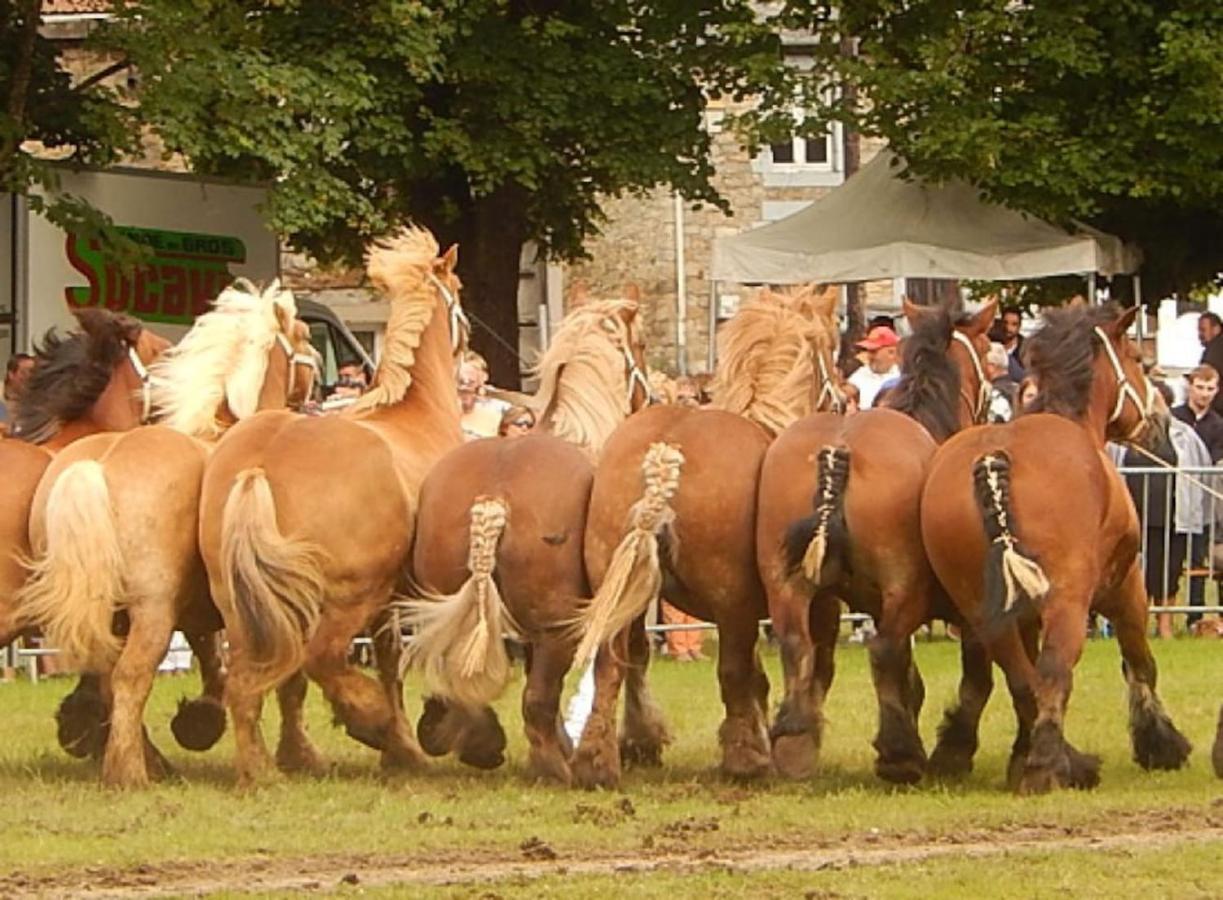 La Chouette Au Bouleau Villa Hargnies Exteriör bild